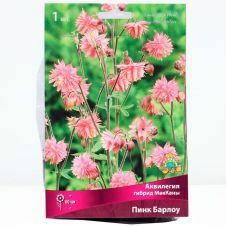 Аквилегия гибрид МакКаны Пинк Барлоу 1 шт Поиск