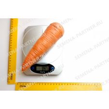 Морковь КУРОДА 1 г Партнер