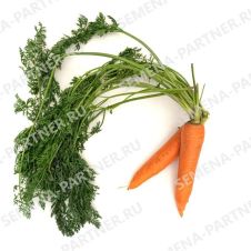 Морковь ОЛИМПО F1, 0,5 г Партнер