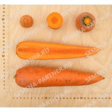 Морковь ОЛИМПО F1, 0,5 г Партнер