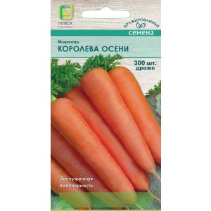Морковь Королева осени 300 шт Поиск