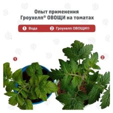 Гроухелп Овощи, 500 мл Биокомплекс-БТУ