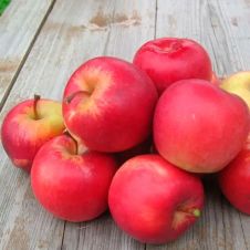 Саженец Яблоня Благая весть, пакет 7 л