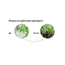 Регулятор роста Рэгги 1 мл Август