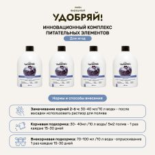 Биомолекулы для ягод, 400 мл Удобряй!