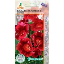Глоксиния Аванти F1 Скарлет 8 шт Агрос