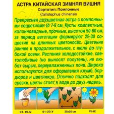 Астра Зимняя вишня помпонная 0,2 г Аэлита