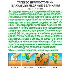 Бархатцы Ледяные великаны прямостоячие 7 шт Аэлита