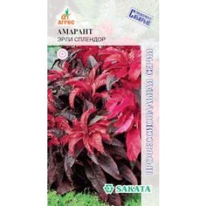 Амарант Эрли Сплендор, 30 шт.