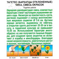 Бархатцы Чика отклоненные смесь окрасок 10 шт Аэлита