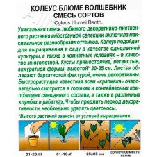 Колеус блюме Волшебник, смесь сортов 5 шт Аэлита