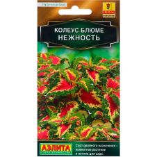 Колеус блюме Нежность 5 шт Аэлита