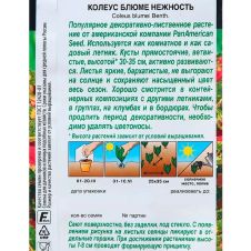 Колеус блюме Нежность 5 шт Аэлита
