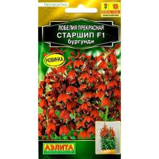 Лобелия Старшип F1 бургунди 5 шт Аэлита