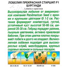 Лобелия Старшип F1 бургунди 5 шт Аэлита