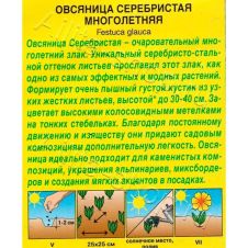 Овсяница Серебристая многолетняя 5 шт Аэлита