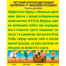 Петуния Балерина F1 вишнево-розовая крупноцветковая 7 шт Аэлита