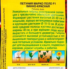 Петуния Марко Поло F1 винно-красная 7 шт Аэлита