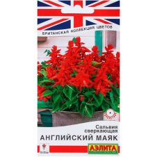 Сальвия сверкающая Английский маяк 7 шт Аэлита