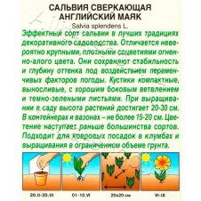 Сальвия сверкающая Английский маяк 7 шт Аэлита