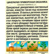 Цинерария Океаника 0,05 г Аэлита