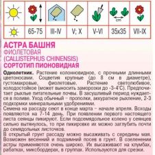 Астра Башня Фиолетовая, 0,3 г Агрос