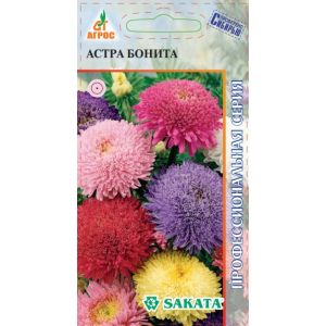 Астра Бонита, 15 шт.