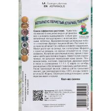Аспарагус перистый Паутинка 5 шт Поиск