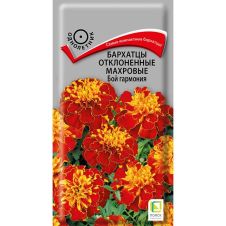 Бархатцы отклоненные махровые Бой гармония 0,4 г Поиск