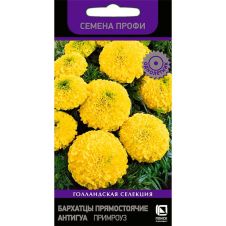 Бархатцы прямостоячие Антигуа Примроуз 15 шт Поиск