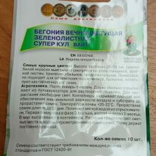 Бегония вечноцветущая зеленолистная Супер Кул Вайт 10 шт Поиск
