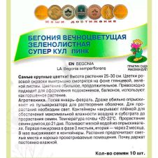 Бегония вечноцветущая зеленолистная Супер Кул Пинк 10 шт Поиск
