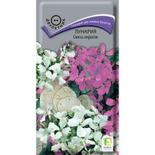 Лунария Смесь окрасок 0,2 г Поиск