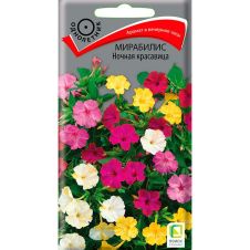 Мирабилис (ялапа) Ночная красавица 2,5 г Поиск