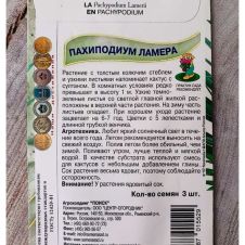 Пахиподиум Ламера 3 шт Поиск