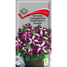Петуния грандифлора Галактика F1 Вишневая 10 шт Поиск
