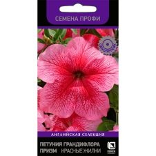 Петуния грандифлора Призм Красные жилки 30 шт Поиск