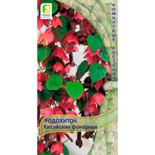 Родохитон Китайские фонарики 5 шт Поиск