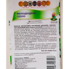 Филодендрон Селло 3 шт Поиск