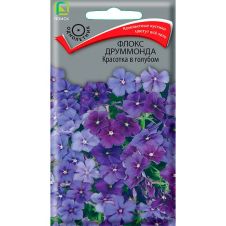 Флокс друммонда Красотка в голубом 0,1 г Поиск