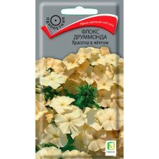 Флокс друммонда Красотка в жёлтом 0,1 г Поиск