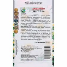 Хризантема Снегурочка 30 шт Поиск