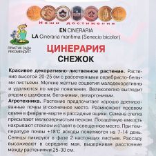 Цинерария Снежок 0,1 г Поиск