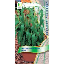 Эвкалипт лимонный Цитрус 5 шт Поиск