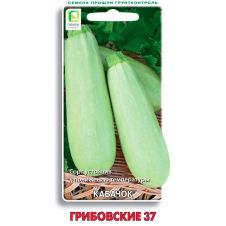 Кабачок Грибовские 37, 12 шт Поиск