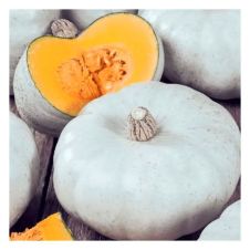 Тыква крупноплодная Крошечка-Хаврошечка, 10 шт Поиск