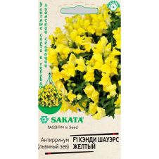 Антирринум (Львиный зев) Кэнди Шауэрс желтый F1, 3 шт, Гавриш Sakata