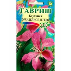 Баухиния Орхидейное дерево (пурпурная) 3 шт Гавриш