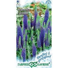Вероника длиннолистная синяя, 0,02г, Гавриш, Устойчив к заморозкам