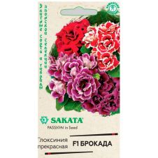 Глоксиния Брокада F1, смесь, 4 шт, Гавриш, Элитные сорта и гибриды, Sakata